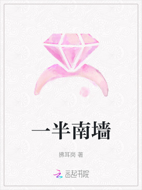 一半南墙在线阅读
