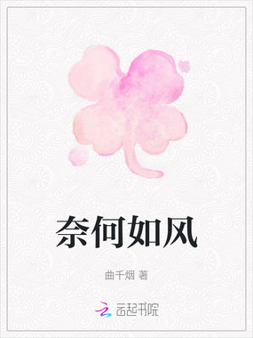 奈何如风在线阅读