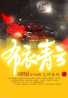 布衣青云在线阅读