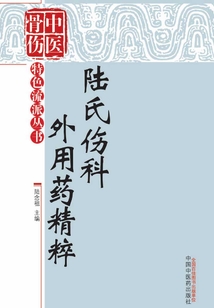 陸氏傷科外用藥精粹