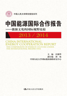 中國能源國際合作報告2013/2014:能源文化的國際視野比較