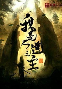 我是万道之主