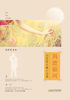 再渡银河：冯丽霞中篇小说集在线阅读