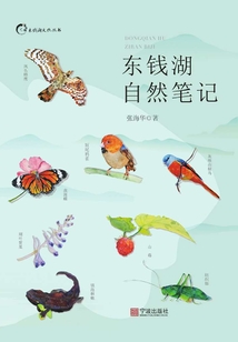 東錢湖自然筆記