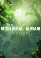 碾压斗罗之后,诸天映照在线阅读