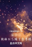 原神之我的NS成了金手指