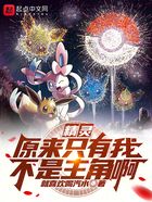 精灵:原来只有我不是主角啊