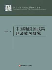 中国新能源政策经济效应研究