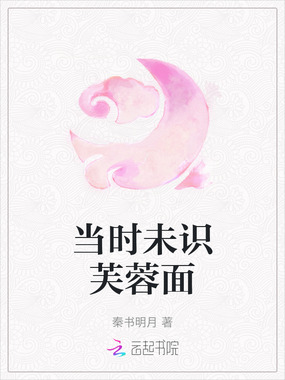 当时未识芙蓉面在线阅读
