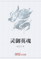靈御英魂在線閱讀