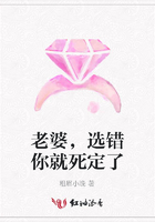 老婆，選錯(cuò)你就死定了在線閱讀