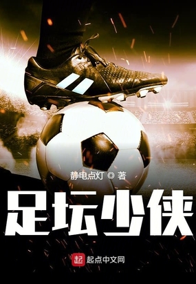 足坛少侠在线阅读