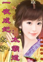 一夜成妃:太子,太霸道