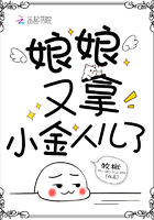 娘娘又拿小金人兒了在線閱讀