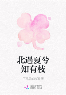 北遇夏兮知有枝