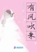 有風吹來在線閱讀