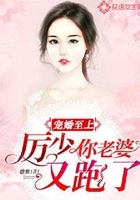 宠婚至上:厉少你老婆又跑了在线阅读