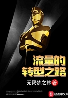 流量的转型之路在线阅读