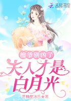 檀爷别凶了,夫人才是白月光在线阅读