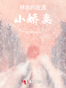 林總的在逃小嬌妻