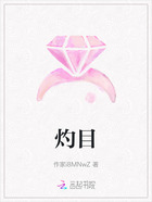 灼目在线阅读
