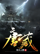 唐藏在线阅读