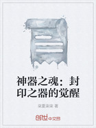 神器之魂:封印之器的觉醒在线阅读