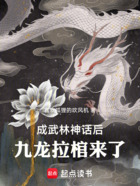 成武林神话后,九龙拉棺来了在线阅读