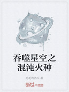 吞噬星空之混沌火種在線閱讀