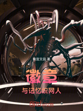 徽章与记忆织网人在线阅读