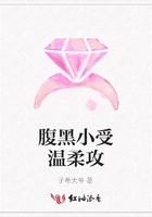 腹黑小受溫柔攻在線閱讀