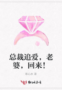 總裁追愛，老婆，回來！