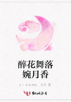 醉花舞落婉月香在線閱讀
