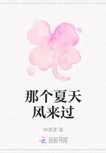 那個夏天風來過