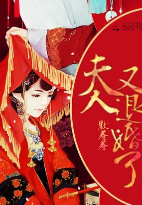 夫人又退婚了在线阅读