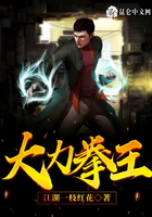 大力拳王在線閱讀