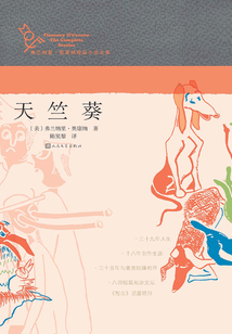 天竺葵