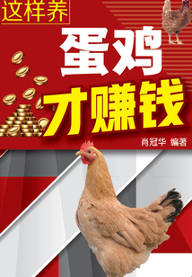 這樣養蛋雞才賺錢