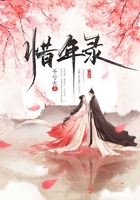 惜年錄在線閱讀