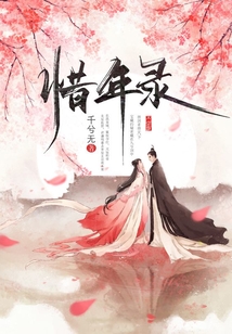惜年錄