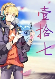 壹拾七