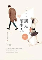 遇见陌生人在线阅读