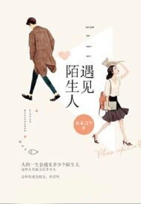 遇见陌生人在线阅读