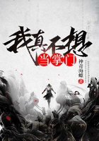 我真不想当掌门在线阅读