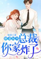 娇妻玩火:总裁你家炸了在线阅读