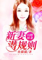 闪婚娇妻:新妻潜规则