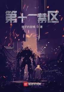 十一禁区