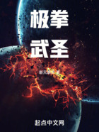 極拳武圣在線閱讀