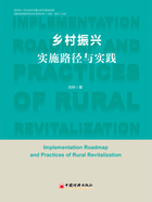 乡村振兴实施路径与实践