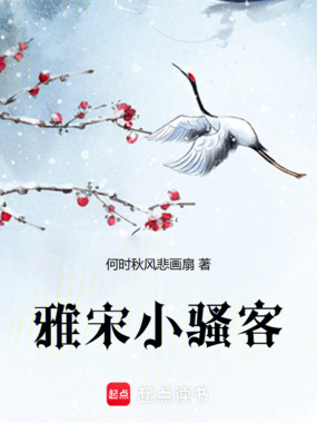 雅宋小骚客在线阅读